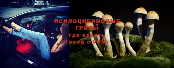 сатива Наволоки