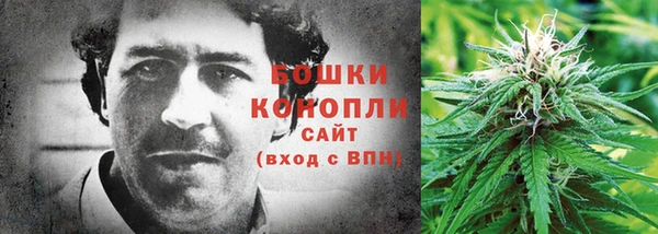 сатива Наволоки