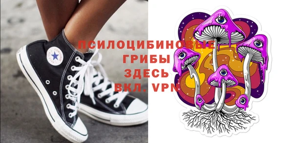 соль курить ск Надым