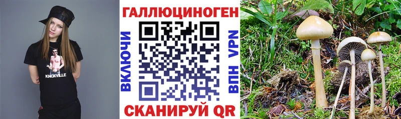 блэк спрут ссылка  Советская Гавань  Галлюциногенные грибы мухоморы 
