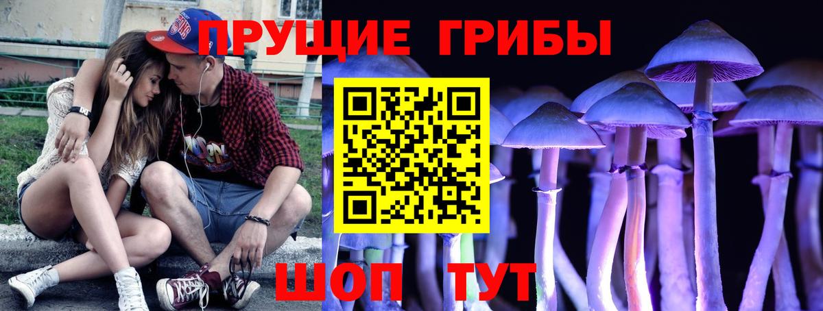 дарнет шоп  Вход с VPN  Советская Гавань  Галлюциногенные грибы Cubensis 